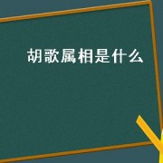 胡歌属相是什么