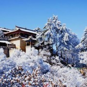 咏白马寺诗词（白马寺古诗词大全）