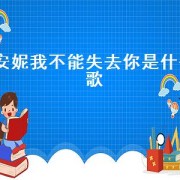 安妮我不能失去你是什么歌