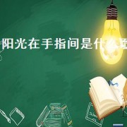 阳光在手指间是什么歌（阳光在城市上空飘荡什么歌）