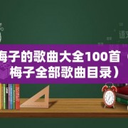 龙梅子的歌曲大全100首（龙梅子全部歌曲目录）