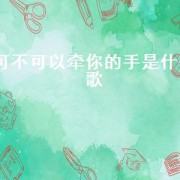 可不可以牵你的手是什么歌