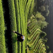 优美的古代伤感诗词