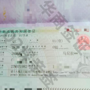 入华探亲签的种类有哪些 如何办理入华探亲签 华商在线讲解