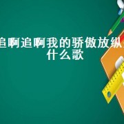 追啊追啊我的骄傲放纵是什么歌