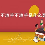 不放手不放手是什么歌
