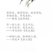 绿珠 诗词（绿珠诗词）