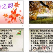 小孩诗词（小孩诗词表演视频）