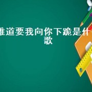 难道要我向你下跪是什么歌（歌词中有向你致敬是什么歌）