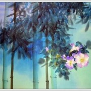 金字相关诗词（带金字的诗词名）