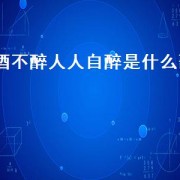 酒不醉人人自醉是什么歌（酒不醉人人自醉是哪首歌词）