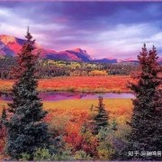 要记住《红河谷》你的故乡，还有那热爱你的姑娘