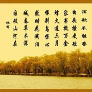 淡漠人世的诗句