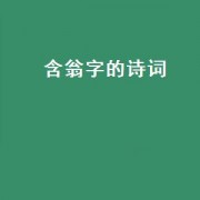 含翁字的诗词