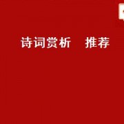 诗词赏析  推荐