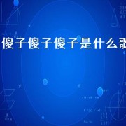 傻子傻子傻子是什么歌（傻子也有傻子的方式这是什么歌）