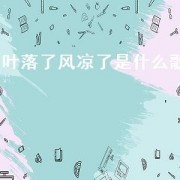 叶落了风凉了是什么歌（叶落了风凉了爱你的心）