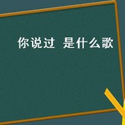 你说过 是什么歌（曾经说过要陪我到老的人是什么歌）