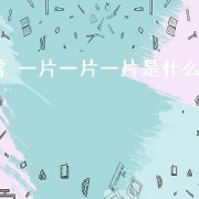 雪 一片一片一片是什么歌