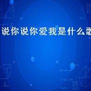 说你说你爱我是什么歌