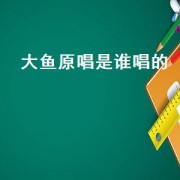 大鱼原唱是谁唱的（大鱼原唱是谁）
