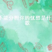 不能分担你的忧愁是什么歌
