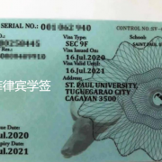 菲律宾留学签证怎么办理（步骤是指南）