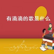 有滴滴的歌是什么（最近很火的歌有滴滴）