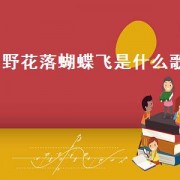 野花落蝴蝶飞是什么歌（歌曲酒醉的蝴蝶飞）