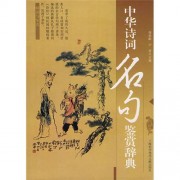 写诗词的词语有哪些（写诗常用词语大全）