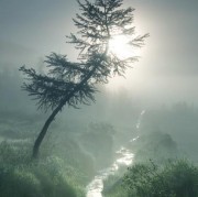 青云诗词原创（青云诗句唯美短句）