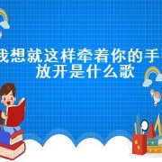 我想就这样牵着你的手不放开是什么歌（牵着你的手不放开女声版完整版的）