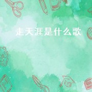 走天涯是什么歌（走天涯的歌）