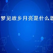 梦见故乡月亮是什么歌