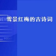 雪景红梅的古诗词