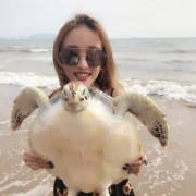 千万身价3/5沉睡的凤凰百变的舒舒社会摇1/3萧全34-57通道词曲唱全能