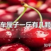 一斤樱桃有几个？