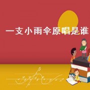 一支小雨伞原唱是谁（一支小雨伞闽南语原唱）