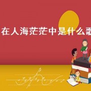 在人海茫茫中是什么歌（歌词中有人海茫茫是什么歌）