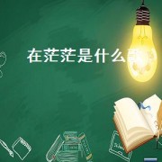 在茫茫是什么歌（茫茫人海中遇见你是什么歌）