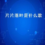 片片落叶是什么歌