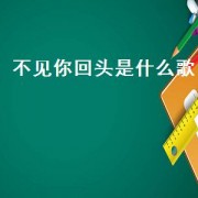 不见你回头是什么歌