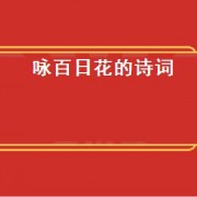 咏百日花的诗词
