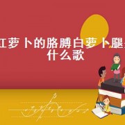 红萝卜的胳膊白萝卜腿是什么歌（歌曲红萝卜的胳膊白萝卜的嘴）