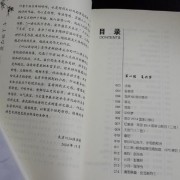 咏梅 诗词 赏析