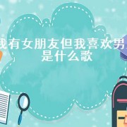 我有女朋友但我喜欢男人是什么歌（歌词里有男朋友是什么歌）