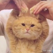 有哪些好听的电视剧主题曲或片尾曲？
