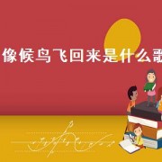 像候鸟飞回来是什么歌