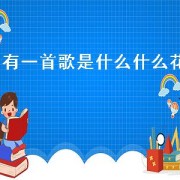 有一首歌是什么什么花