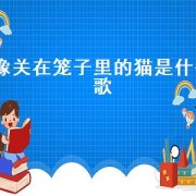 像关在笼子里的猫是什么歌（关在笼子里的猫歌词）